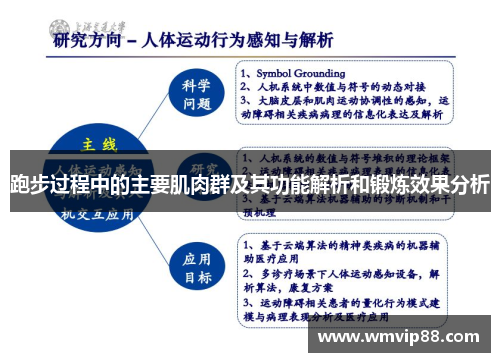 跑步过程中的主要肌肉群及其功能解析和锻炼效果分析