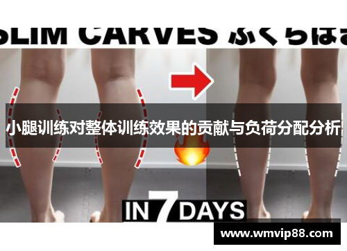 小腿训练对整体训练效果的贡献与负荷分配分析