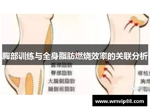 胸部训练与全身脂肪燃烧效率的关联分析